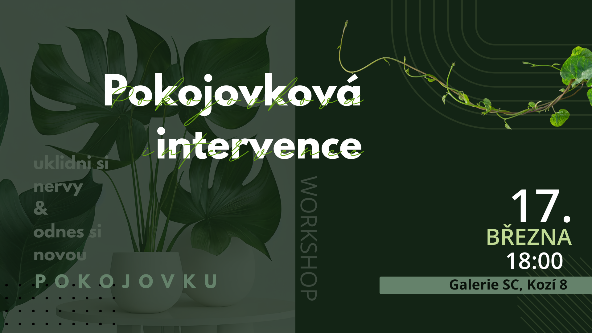 Pokojovková intervence (1)