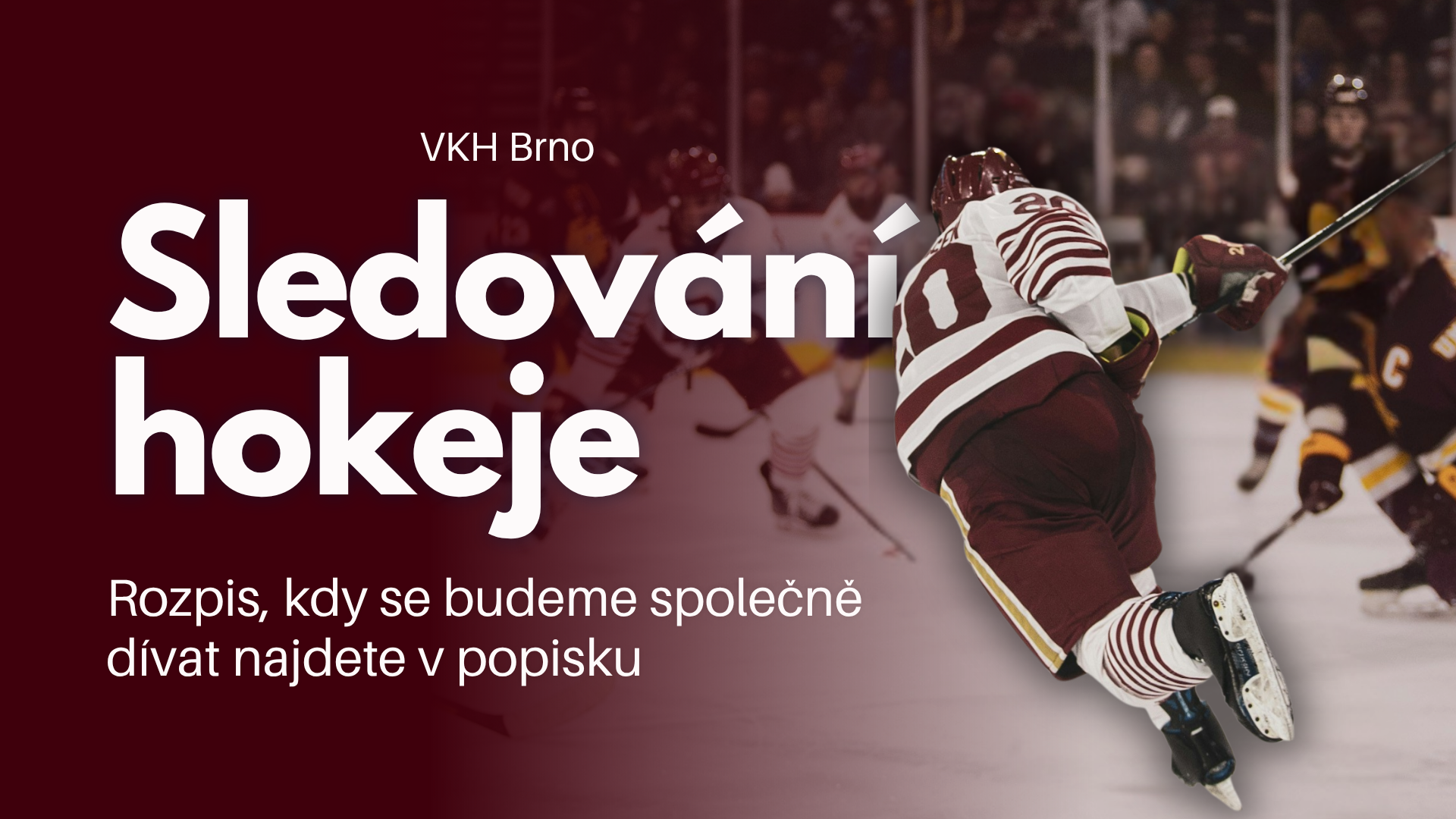 Společné sledování hokeje